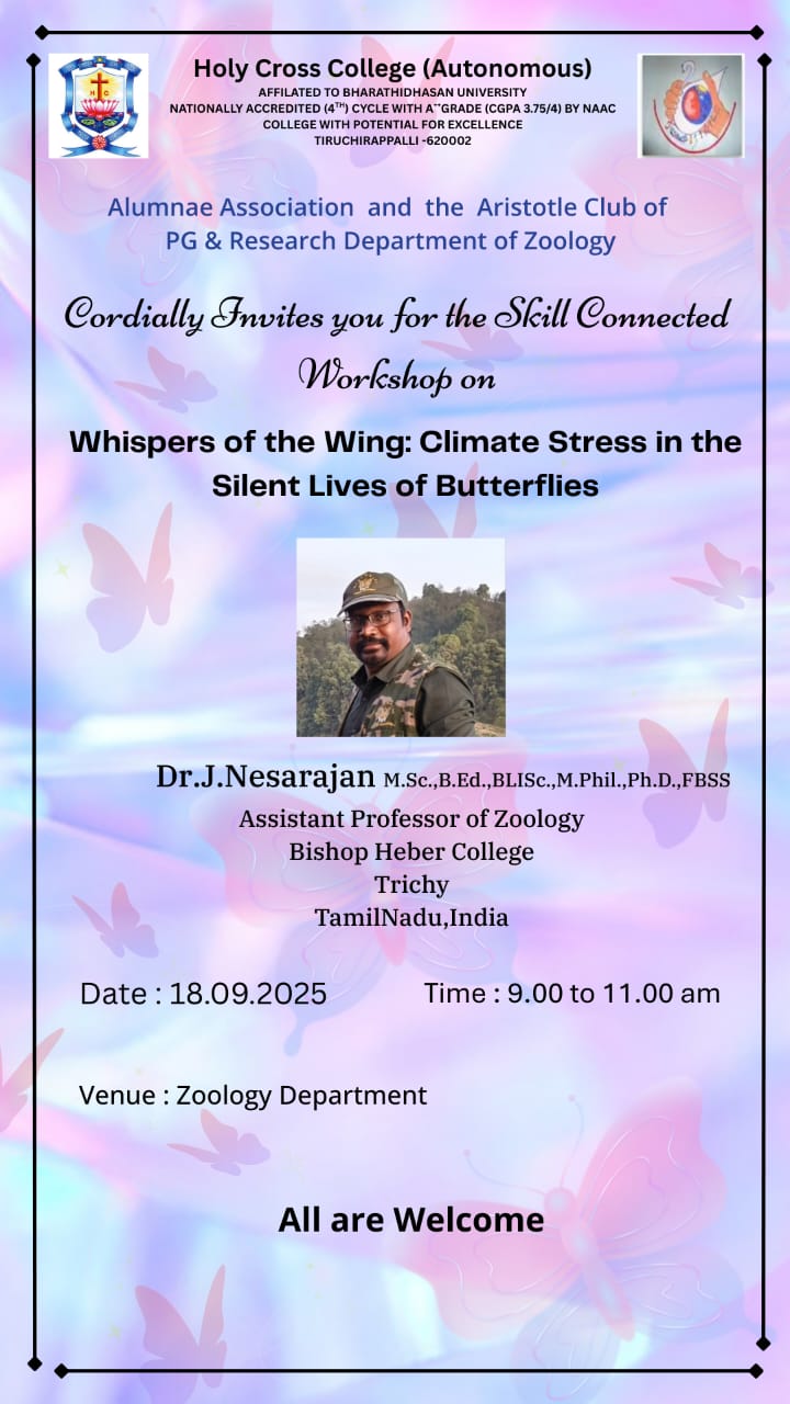 Whispers of the Wing: Climate Stress in the Silent Lives of Butterflies